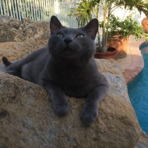 Meet your Posher, Alexandra